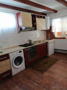 een keuken met een wasmachine en een vaatwasser bij Sătic Casa Maria in Sătic
