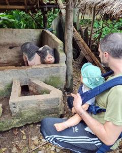 a man holding a baby in front of a pig at Pu Luong Thai House - Tai Dam Homestay in Hương Bá Thước