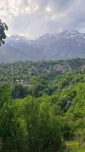 a view of a valley with mountains and trees at САЙ-SAI in Arslanbob