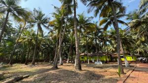 a group of palm trees in front of a house at Coco Hut , Devbaug in Malvan