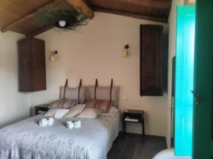 1 dormitorio con 1 cama grande en una habitación en Andala agriturismo esperienziale, en Samughèo