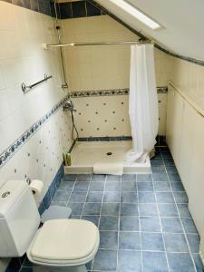 a bathroom with a toilet and a shower at Rose Garden Platres in Platres +22 photos