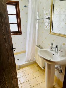 a bathroom with a sink and a mirror and a shower at Rose Garden Platres in Platres