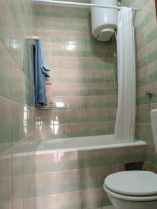 uma casa de banho com um WC, uma banheira e um chuveiro em Apartman Ena em Senj