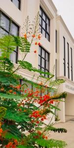 婆羅多布爾的住宿－Hotel Gulmohar，一座建筑物前有红花的树