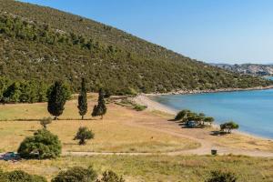 a hillside with trees and a beach next to the water at Seaside Aqua Bliss & Serenity with Private Pool in Koilás