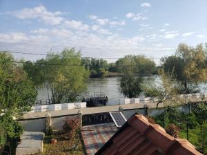 Gallery image of Lotca_lu_Vasile in Crisan