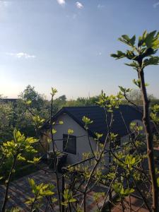 Gallery image of Lotca_lu_Vasile in Crisan +9 photos