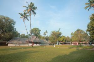 un edificio con una palmera y un campo de césped en Marari Beach Resort Alleppey- CGH Earth, en Alleppey