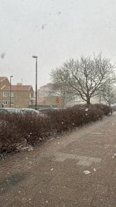a snow covered street with a tree and a street light at Eurovision apartment in central Malmö in Malmö