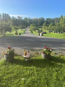 a garden with a figurine in a toy car and flowers at Gryts Skägårdscafe & Restaurang in Gryt