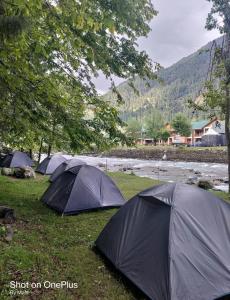 a group of tents sitting in the grass near a river at RIVERFRONT CAMPS AND HIKES in Pahalgām