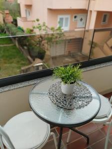Balkón nebo terasa v ubytování Apartmani Melia