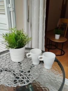Fotografie z fotogalerie ubytování Apartmani Melia v destinaci Zadar
