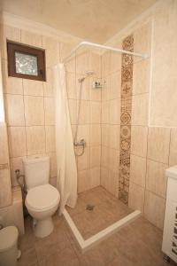 a bathroom with a toilet and a shower with a shower curtain at Kozareva Guest House 2 Козаревата Къща За Гости 2 in Dobrogled