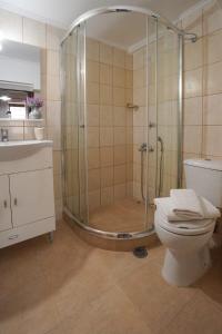 a bathroom with a shower with a toilet and a sink at Unwind and Relax at the Vilaeti 1871 Retreat in Agios Konstantinos