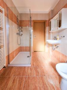La salle de bains est pourvue d'une douche et d'un lavabo. dans l'établissement Apartment Laguna 18, à Jagodje