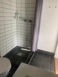 SøndersøにあるDrejerindens kreative stemningsfulde lejlighedのバスルーム(シャワー、トイレ付)