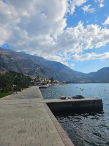 una gran masa de agua con montañas al fondo en Apartment Lea, en Kotor