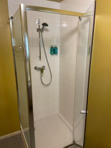 cabina de ducha con puerta de cristal y ducha en La Majolique, en Namur