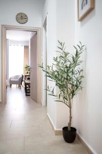 a plant in a black pot in a hallway at Knights Golden Loch - Rhodes Unique Getaway in Rhodes Town
