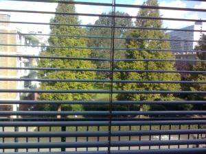 a view of trees through the blinds of a window at Studio 99 in Amsterdam
