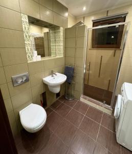 a bathroom with a toilet and a sink and a shower at Apartment Gdansk Close to Oldtown in Gdańsk