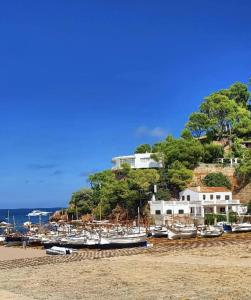 a group of boats sitting on the beach at AP21-Sa Riera in Begur