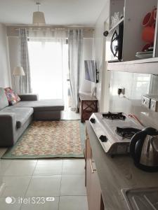 Il comprend une cuisine et un salon avec un canapé et une cuisinière. dans l'établissement CultureStays, à Kiambu