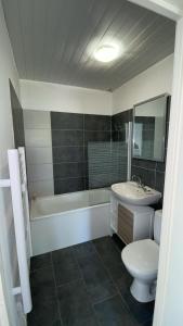 La salle de bains est pourvue de toilettes, d'une baignoire et d'un lavabo. dans l'établissement Studio Pivoine avec terrasse a proximité de Metz, à Metz
