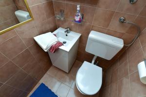 ラバックにあるApartments Marija 1826のトイレと洗面台付きのバスルーム