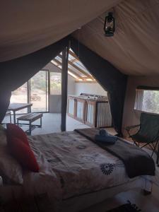 a bedroom with a large bed in a tent at Kleinfontein in Clanwilliam