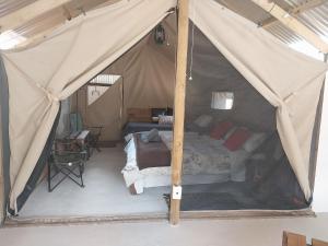 a bedroom with a bed in a tent at Kleinfontein in Clanwilliam