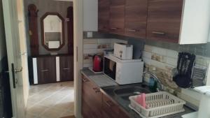 eine Küche mit einer Spüle und einer Mikrowelle in der Unterkunft Kettő Ciprus Appartman 2 in Hajdúszoboszló