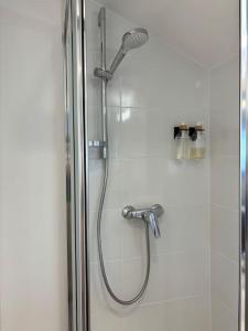 y baño con ducha con cabezal de ducha. en Appartement 14 - Le Lion d’Or, en Langres
