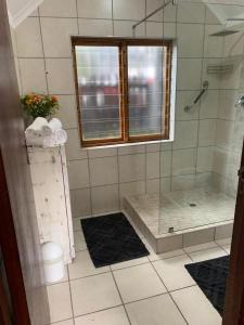 a bathroom with a shower with a glass door at Stay at Seodin in Wilderness