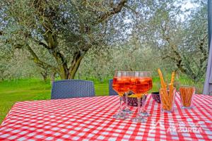 Gallery image of Villa i Roccoli - Immobiliare Azzurra in Bardolino