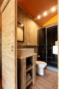 a bathroom with a sink and a toilet at Lodge du Berlandou in Escragnolles