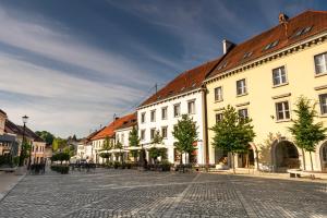 a cobblestone street in a town with buildings at Apartments Jantar - Happy Rentals in Novo Mesto