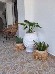 a large white vase sitting on a floor with plants at Vithos in Agnontas