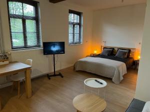 1 dormitorio con 1 cama, TV y mesa en B&B Sjaanderhof, en Maastricht