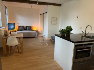 B&B Sjaanderhof في ماستريخت: غرفة معيشة مع مطبخ وغرفة نوم