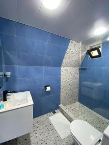 a blue bathroom with a toilet and a sink at Sunny side cottage in Kazbegi +19 photos