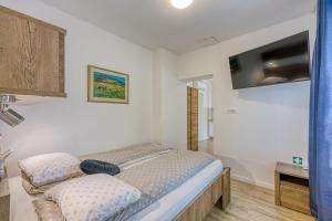 1 dormitorio con 1 cama y TV en la pared en Apartments Jantar - Happy Rentals, en Novo Mesto