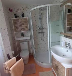 ein Bad mit einer Dusche, einem WC und einem Waschbecken in der Unterkunft Apartamento Villa Termal Mondariz Balneario in Mondariz-Balneario