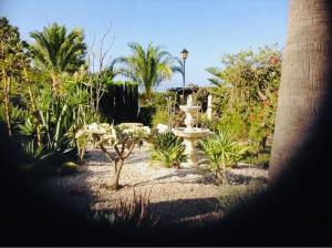 een tuin met een fontein en enkele planten en bomen bij La Casita in Chiclana de la Frontera