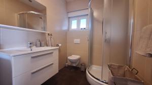 a bathroom with a sink and a toilet and a shower at Apartment BruVana in Povljana