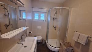 a bathroom with a shower and a sink and a toilet at Apartment BruVana in Povljana +18 photos
