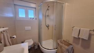 a bathroom with a shower and a toilet and a sink at Apartment BruVana in Povljana