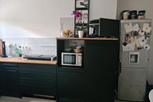 kuchnia z lodówką i kuchenką mikrofalową w obiekcie Private House w mieście Sehnde